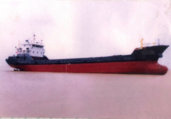 2006年 976T 散货船